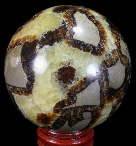 Polished Septarian Sphere - Madagascar #67849